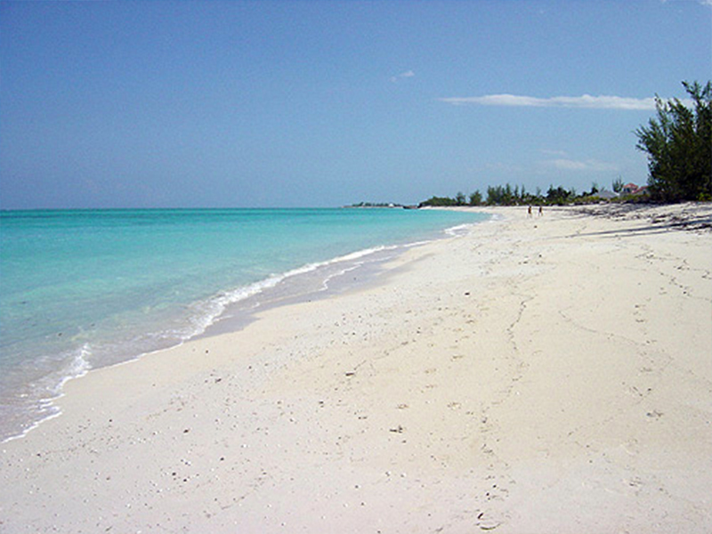 Whiteby